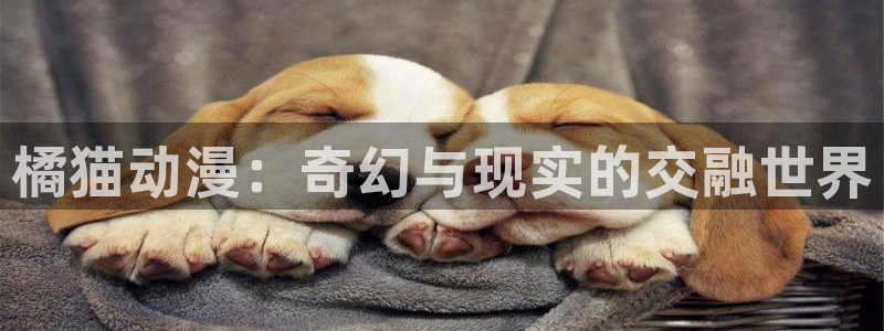 火狼动漫官网入口海贼王在线观看